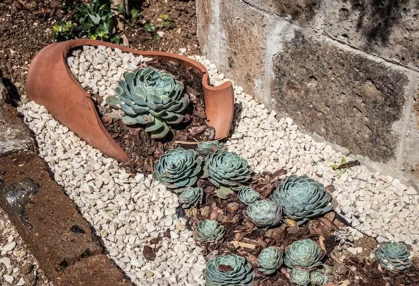 Aamiaismajoitus (B&B) Villa Paola