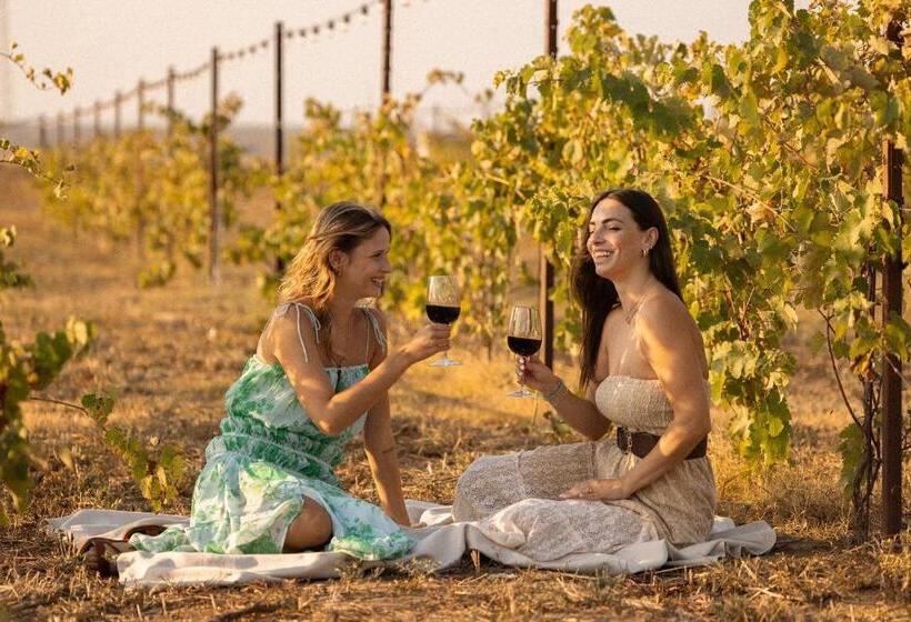 فندق Masseria Malvindi