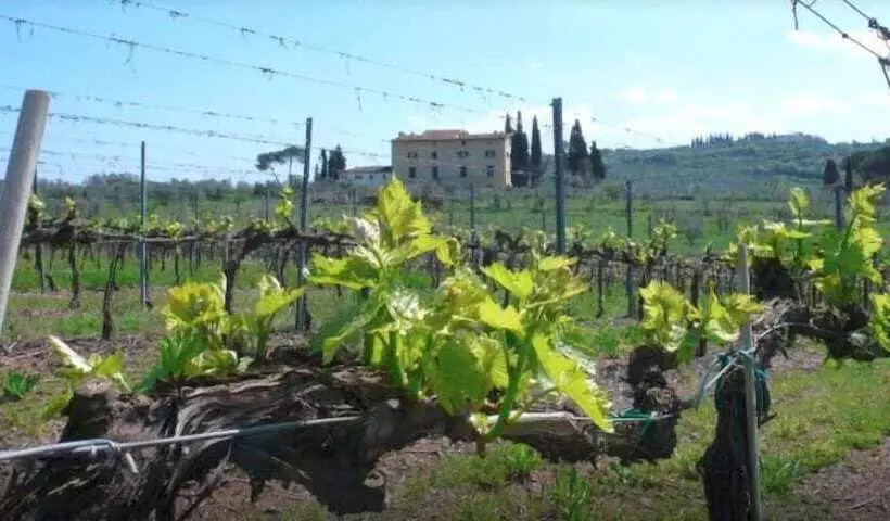 Maaseutuhotelli La Capannaccia