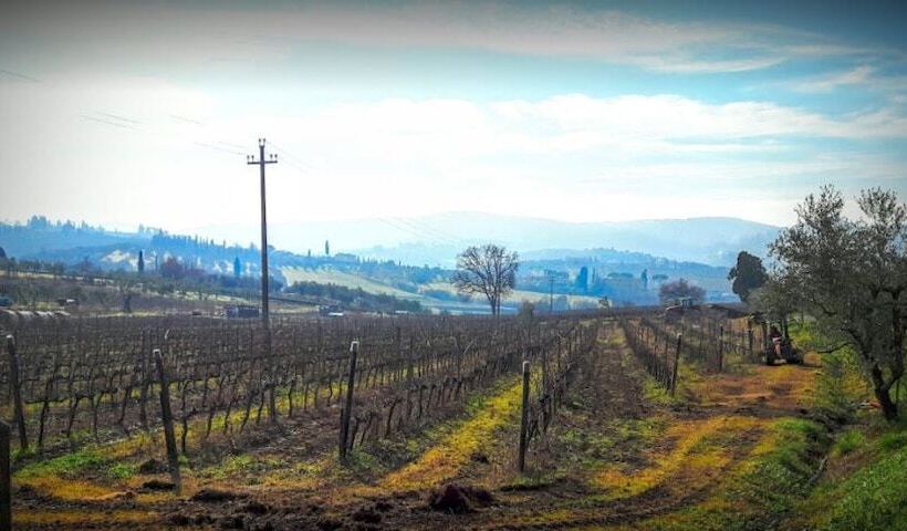 בית מלון כפרי La Capannaccia