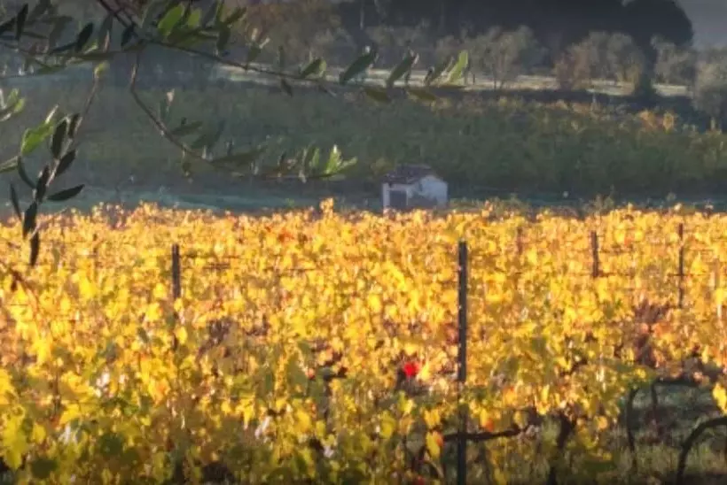 Maaseutuhotelli La Capannaccia