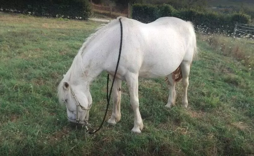 Maaseutuhotelli La Capannaccia