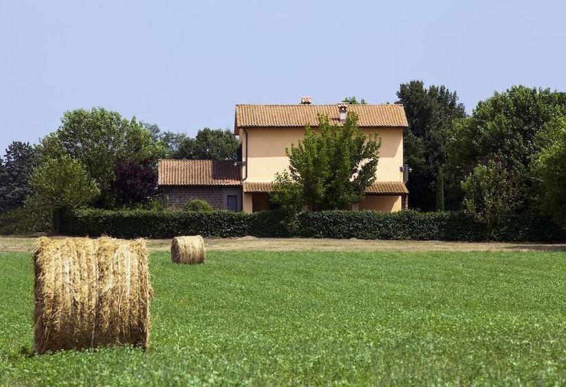 Agriturismo Ferento E Il Castagno