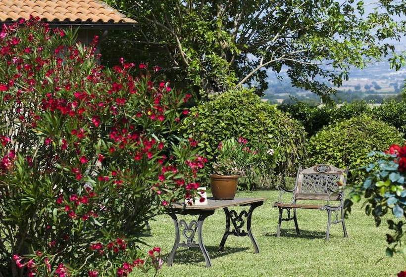 Agriturismo Ferento E Il Castagno