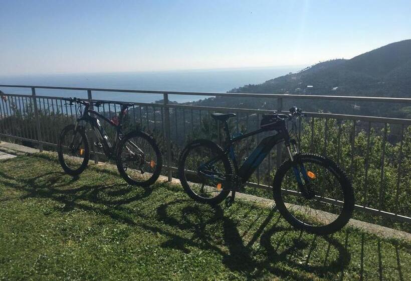 مبيت وإفطار Antemare