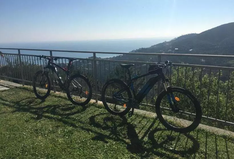 تختخواب و صبحانه Antemare