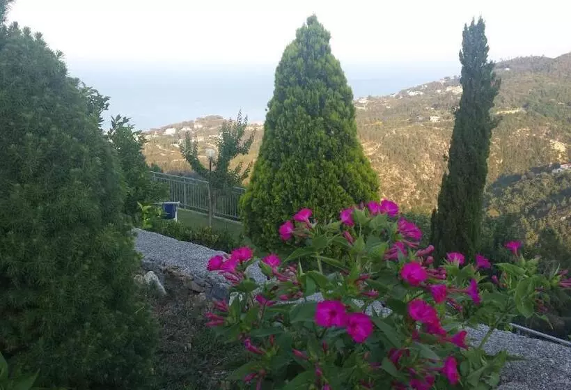 تختخواب و صبحانه Antemare