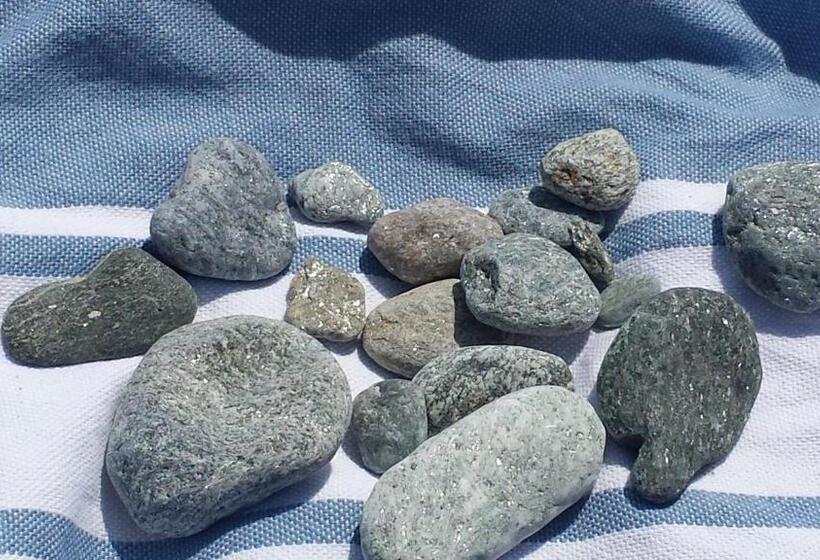 مبيت وإفطار Antemare