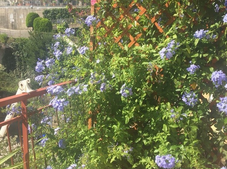 تختخواب و صبحانه Chiavi Antiche