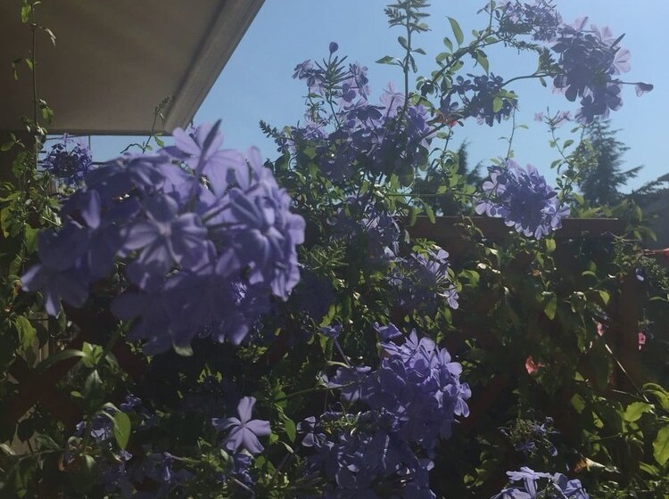 تختخواب و صبحانه Chiavi Antiche