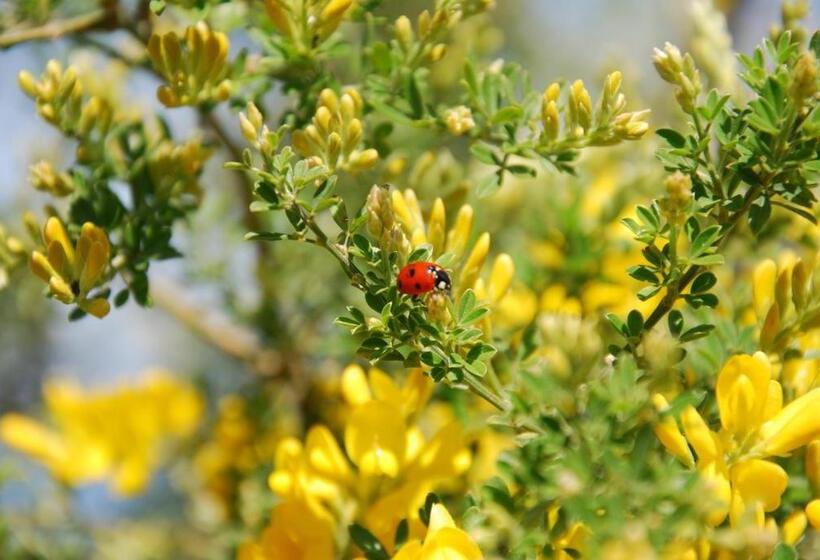 צימר Giardino 21 Marzo