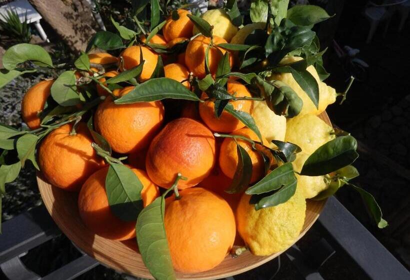 צימר Giardino 21 Marzo