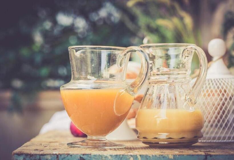 Il Vicoletto Di Bibi   B&b