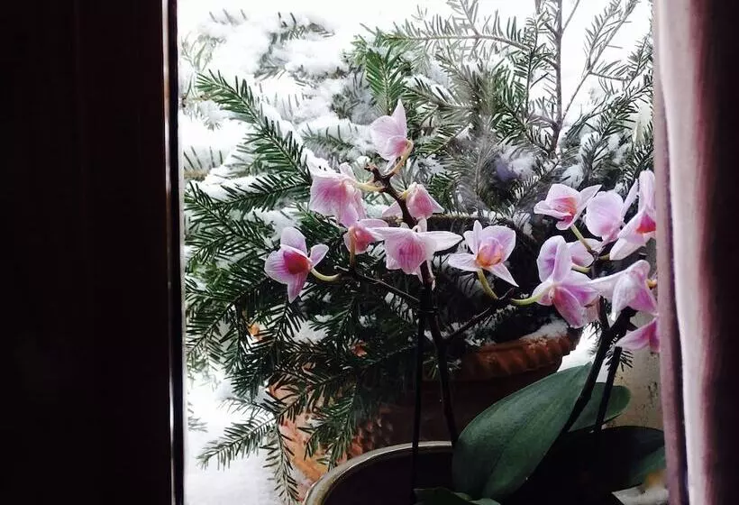 ホテル Archi Del Sole & San Rocco