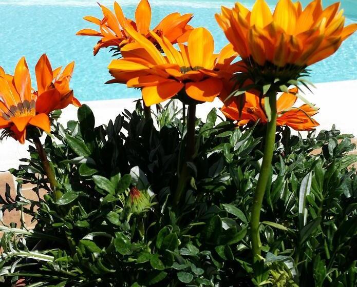 هتل روستایی Agriturismo Sant Anna Quarter Horse