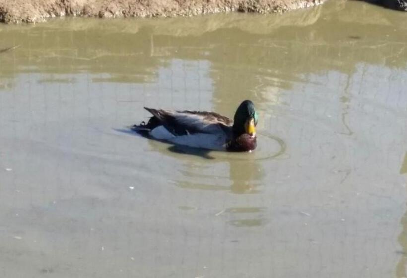 هتل روستایی Agriturismo Sant Anna Quarter Horse