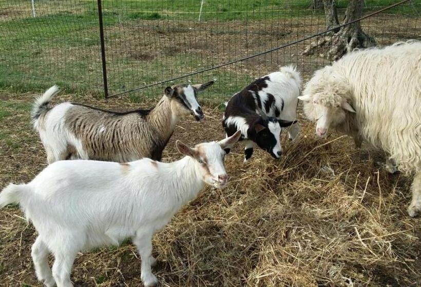 هتل روستایی Agriturismo Sant Anna Quarter Horse