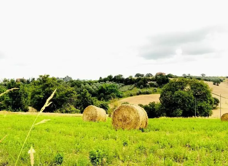 Agriturismo La Godiola