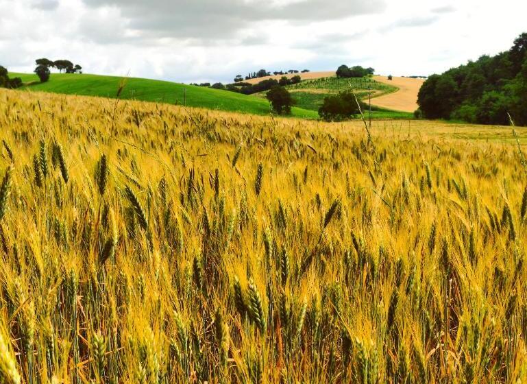 Agriturismo La Godiola