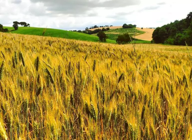 Agriturismo La Godiola