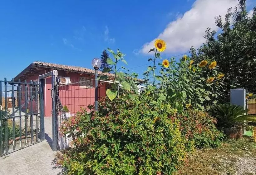 Bed And Breakfast Anna