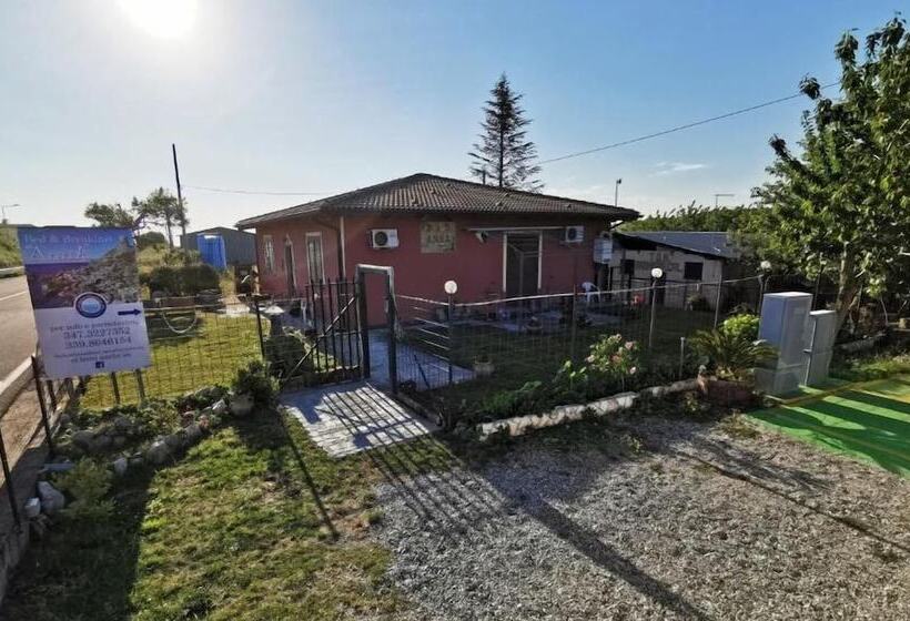 Bed And Breakfast Anna