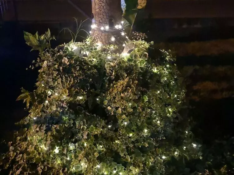 Bed And Breakfast Anna