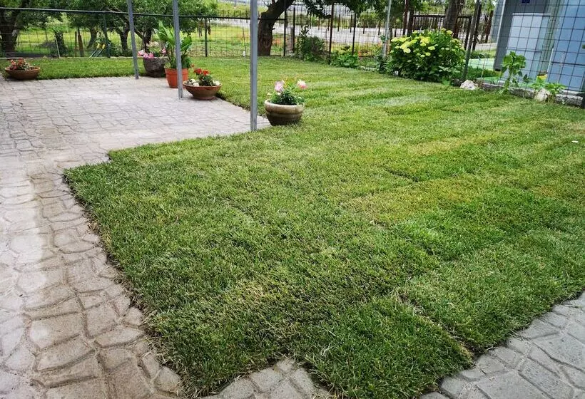 Bed And Breakfast Anna