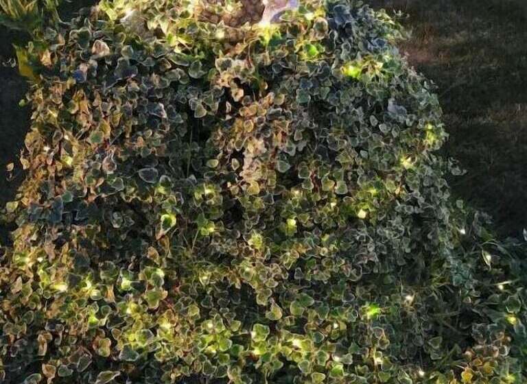 Bed And Breakfast Anna