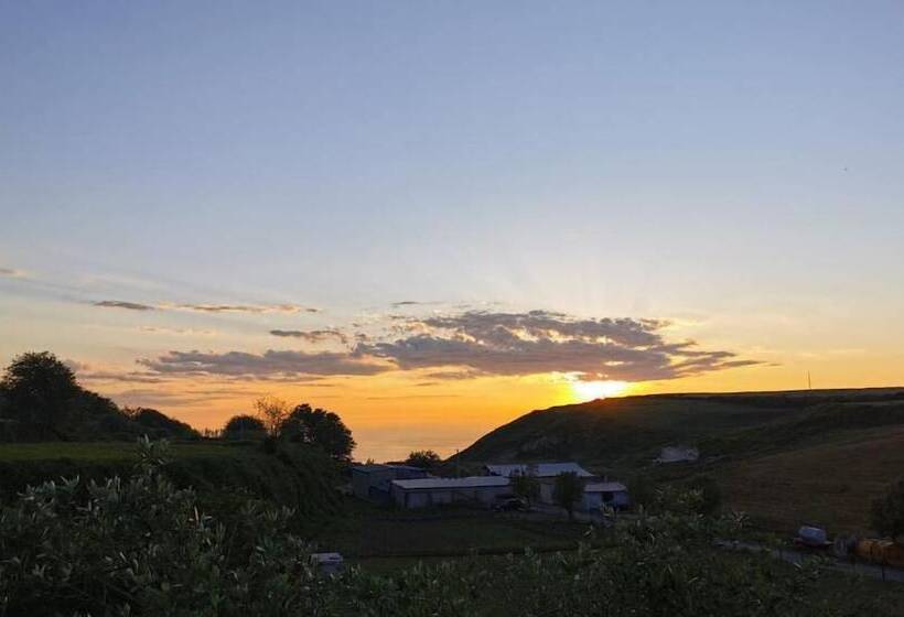 Bed And Breakfast Anna