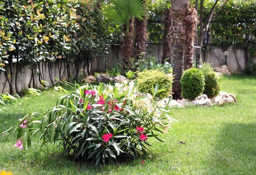 ベッドアンドブレックファースト Mi Casa Affittacamere