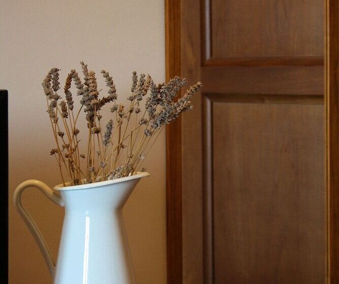 乡村酒店 Agriturismo Cioccoleta