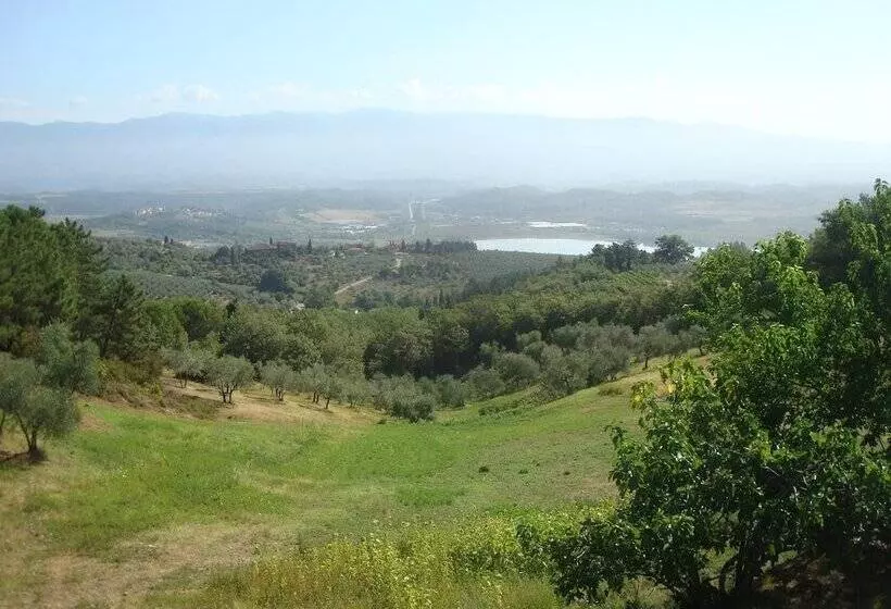 Maaseutuhotelli B&b Amoliv