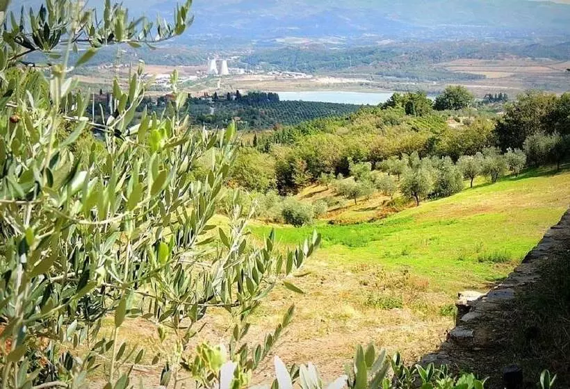 Maaseutuhotelli B&b Amoliv