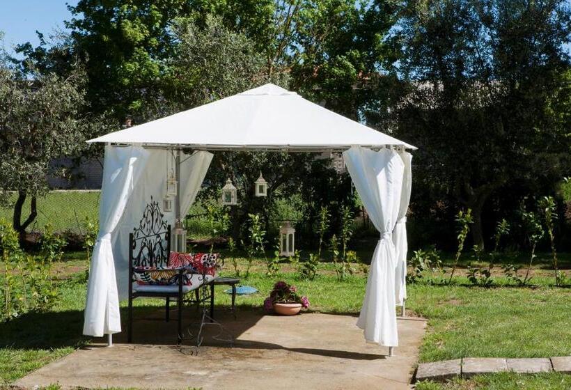 Sentimento Del Tempo B&b