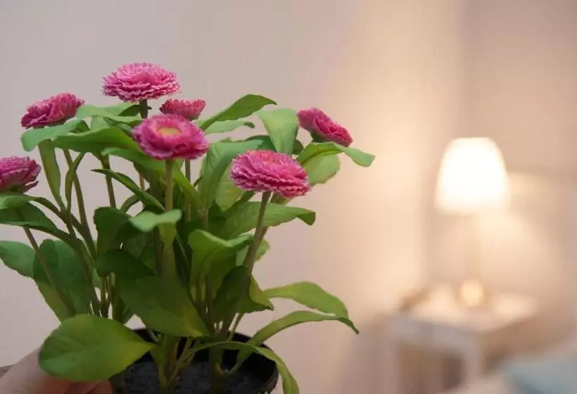 Aamiaismajoitus (B&B) Borgo Antico Home