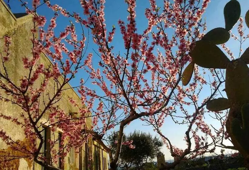 Hotelli Antica Masseria Ficazzana   Tenuta