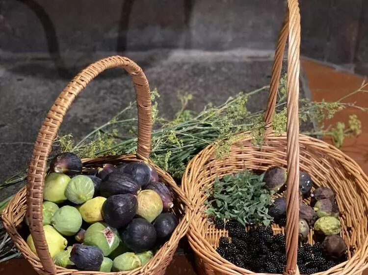 田舎風ホテル Agriturismo I Bonsi