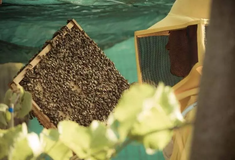 Maaseutuhotelli Casa Bassetto