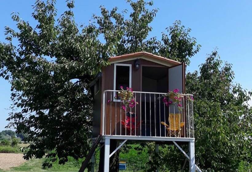 בית מלון כפרי Casa Bassetto