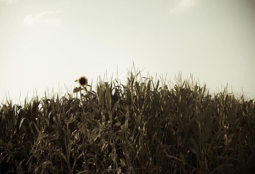 בית מלון כפרי Casa Bassetto