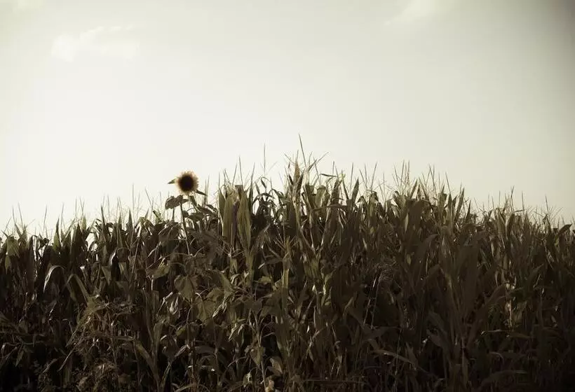 Maaseutuhotelli Casa Bassetto