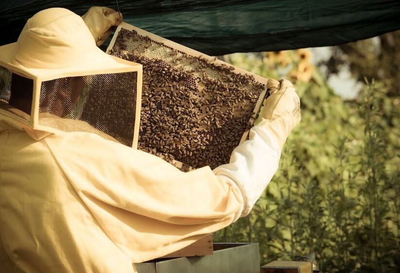 בית מלון כפרי Casa Bassetto