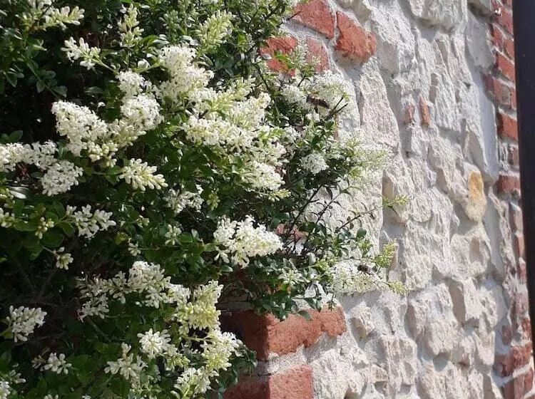 Maaseutuhotelli Casa Bassetto