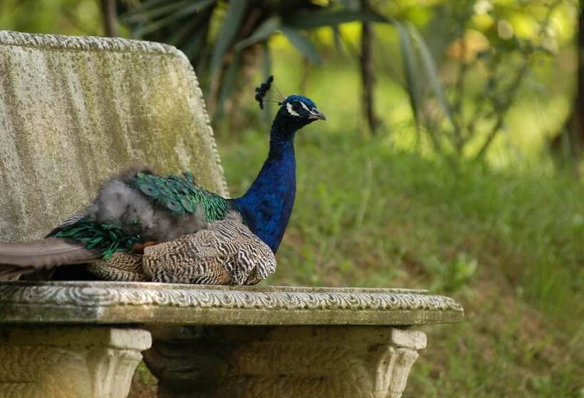 Hotel wiejski Fattoria Paradiso