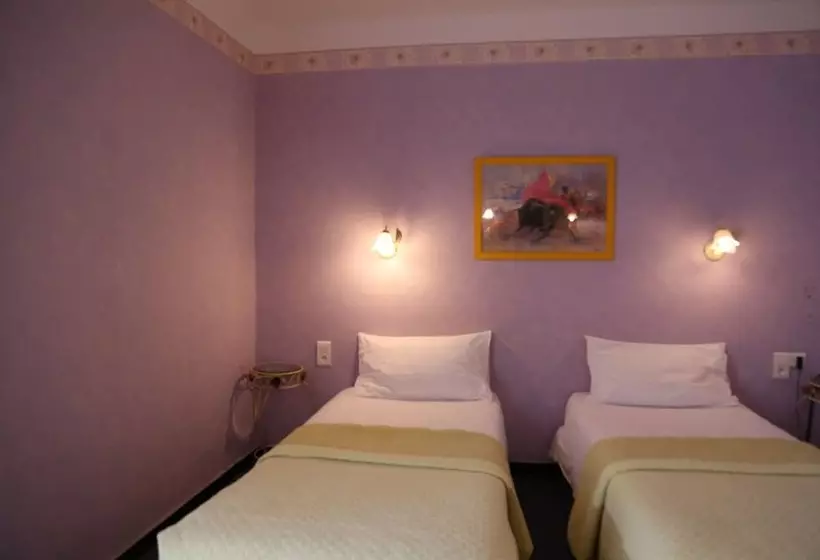 酒店 Hôtel De France