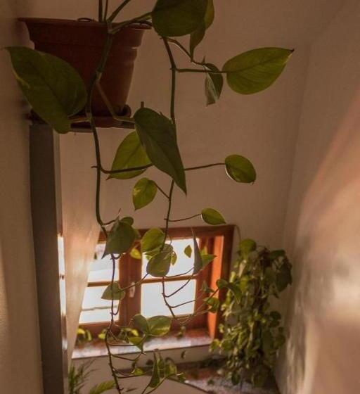 B&b Scarabeo Milazzo