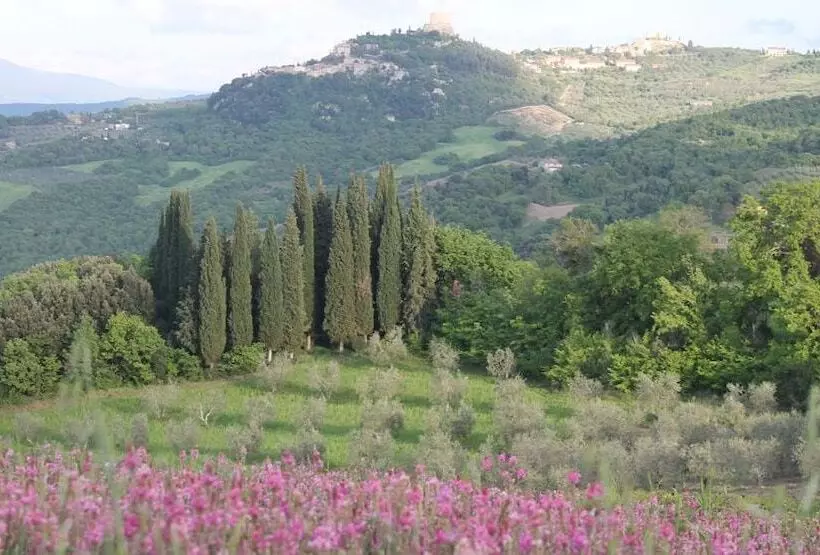 Maaseutuhotelli Agriturismo Il Poderuccio