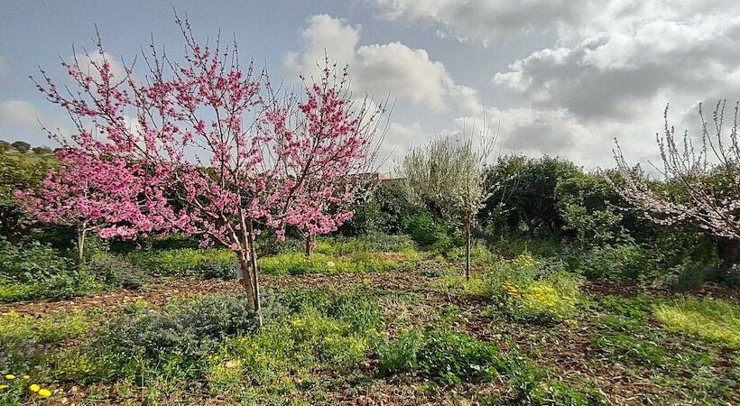 Hotel Rural Casale Imperatore