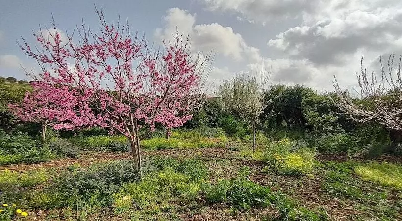 هتل روستایی Casale Imperatore